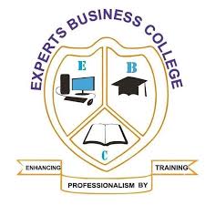 Certificate in Accountancy at Experts Business College